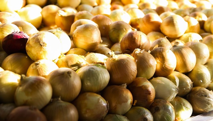 Cebola e tomate ficam mais baratos nas centrais de abastecimento 