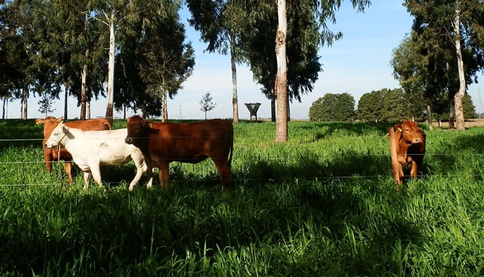  IDR-Paraná avalia potencial de expansão da agricultura sustentável no Estado