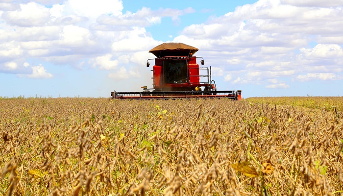  Paraná pode colher 20,9 milhões de toneladas de soja, maior volume da história no Paraná