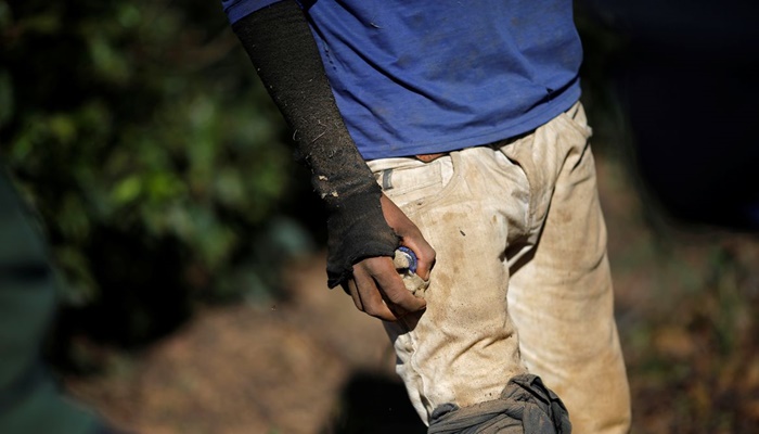 Juristas pedem expropriação de terras de quem explora trabalho escravo