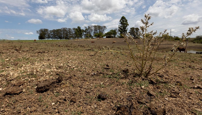 Com seca, 12 cidades gaúchas vão receber socorro de R$ 2,2 milhões