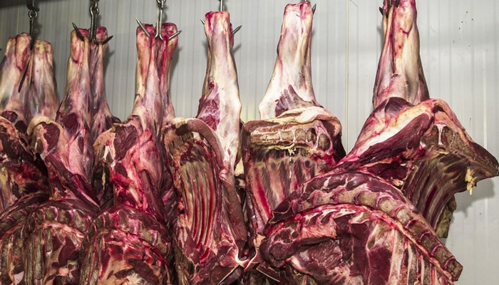 Abate de bovinos no Brasil volta a crescer após dois anos de queda