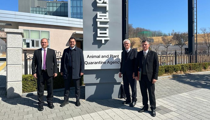  Com visita à agência sanitária da Coreia do Sul, Paraná quer acelerar venda de carne suína