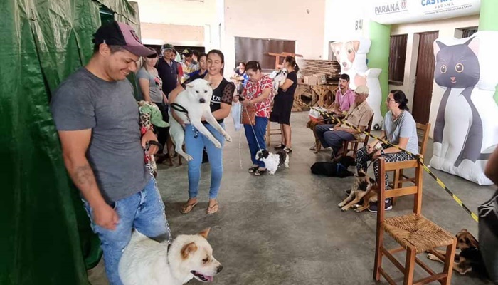  CastraPet Paraná alcança 73 mil animais esterilizados em 218 municípios