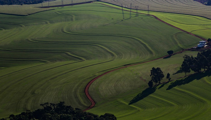  Governo do Estado disponibiliza R$ 12,7 milhões para o seguro rural em 2023