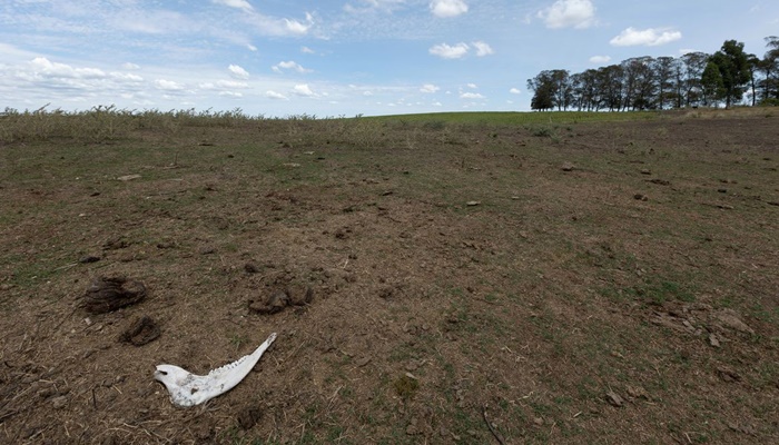 Governo lança plataforma para identificar vulnerabilidades climáticas