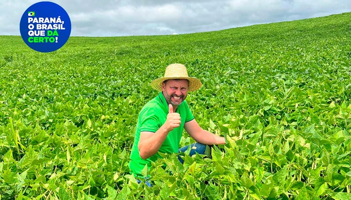  Paraná se destaca no melhoramento genético do feijão e garante maior produtividade