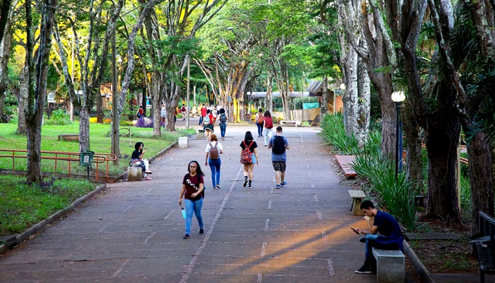  Ensino superior do Paraná está entre os mais bem avaliados do Brasil