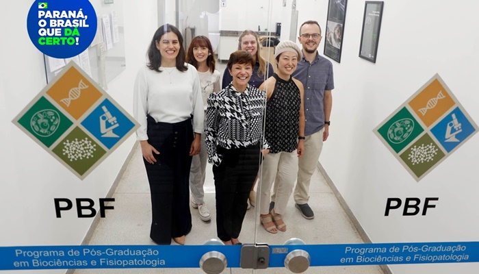  Pesquisadoras do Paraná vão liderar projeto nacional de autocoleta de HPV