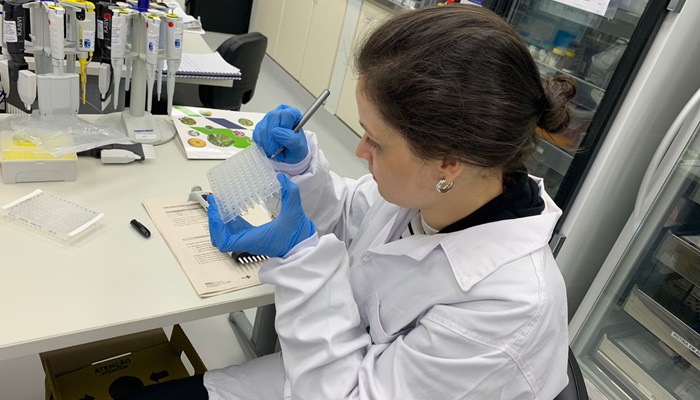  Estudo aponta que chikungunya em circulação no Paraná tem origem outras regiões do Brasil