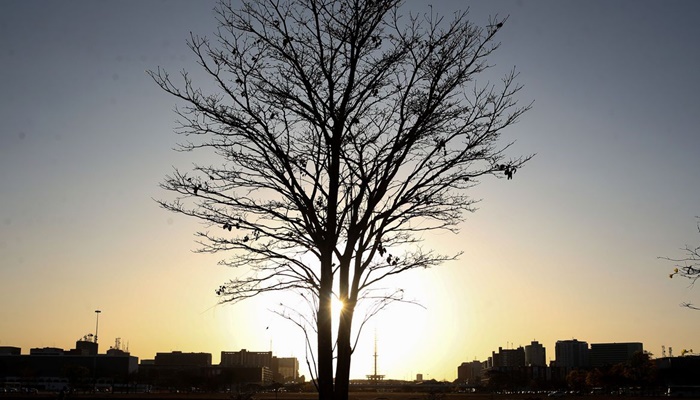 Temperaturas globais devem subir a níveis recordes nos próximos anos