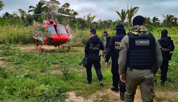 Pesquisa traça conexões entre narcotráfico e crimes ambientais no país
