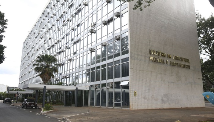 Brasil tem primeiro caso de influenza aviária em aves domésticas