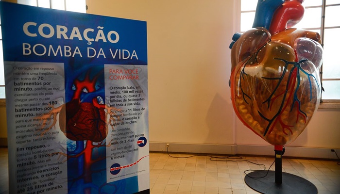 Internações por infarto aumentam mais de 150% no Brasil