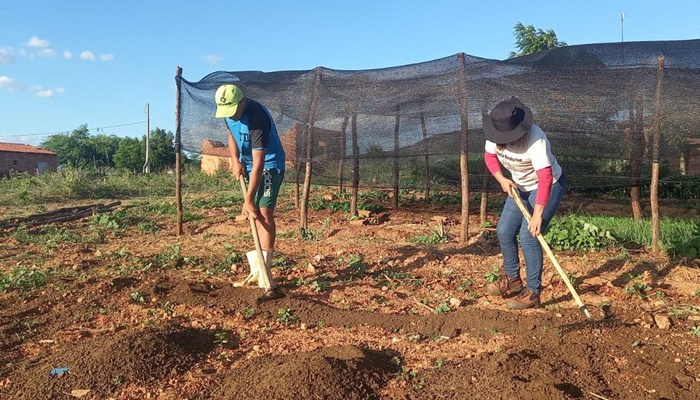Trabalhadores pedem redução de juros para produzir alimentos no Brasil
