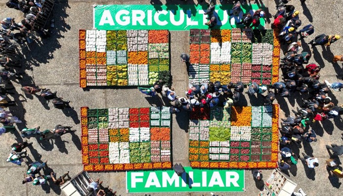 Publicada lei que institui o Programa de Aquisição de Alimentos