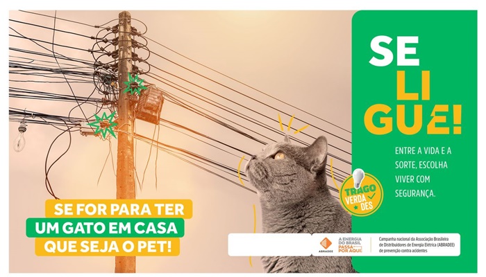 Agosto Vermelho busca conscientizar sobre acidentes com rede elétrica