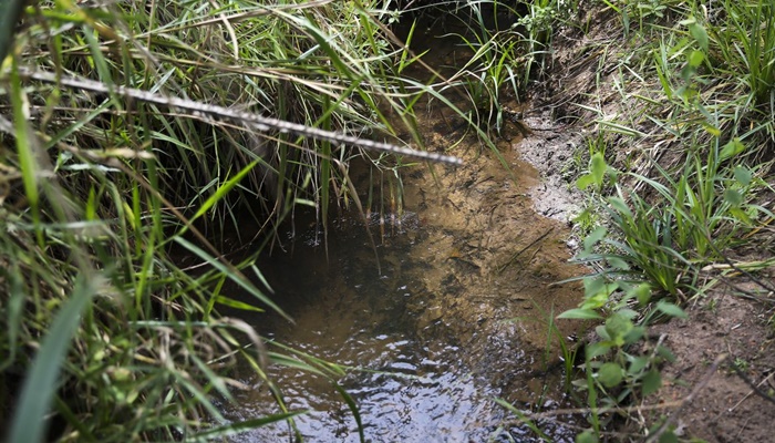 Lei inclui recuperação de nascentes na legislação ambiental