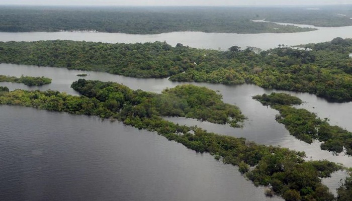 Primeira emissão de títulos verdes deve superar US$ 1 bilhão