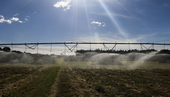 BNDES antecipa liberação de R$ 5,1 bilhões para o Plano Safra