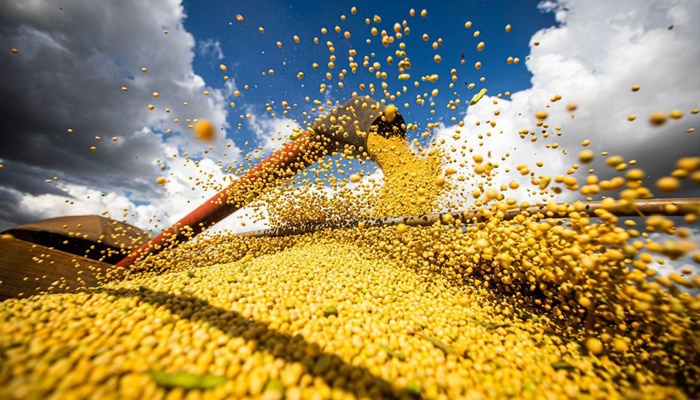 Produção de grãos atinge recorde e tem alta de 18,4% em 2022/2023