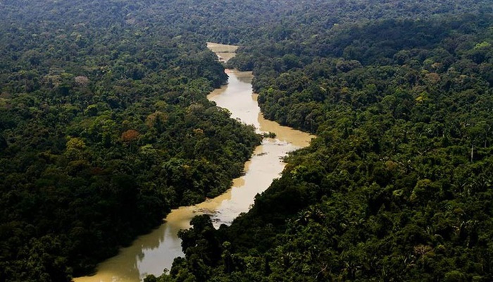 Alertas de desmatamento na Amazônia caem 66% em agosto