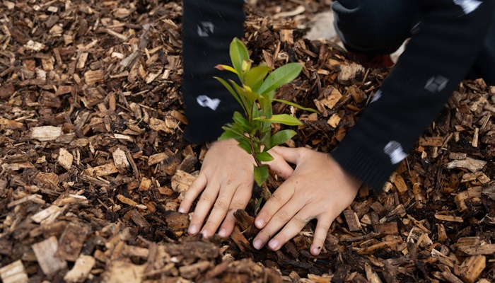  Com material exclusivo, rede estadual promove Semana de Consciência Ambiental