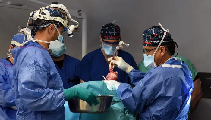 Cirurgiões fazem 2º transplante de coração de porco em paciente nos EUA