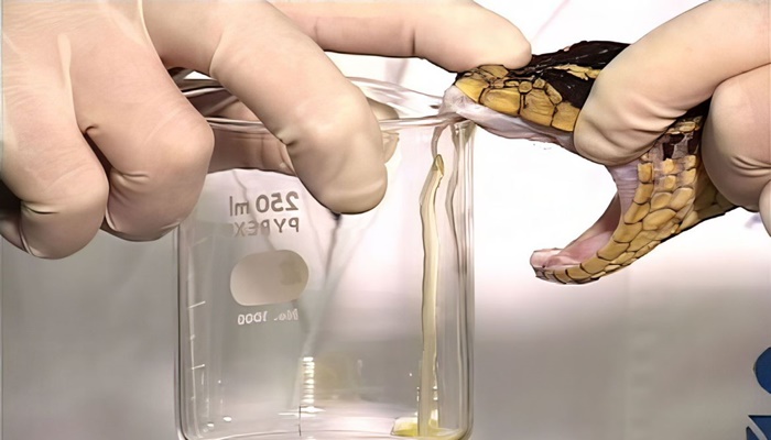 PNI vai além de vacinas e inclui até soros antiofídicos