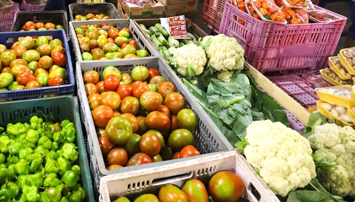  Governo divulga edital de R$ 60 milhões do Compra Direta, que apoia pequenos agricultores