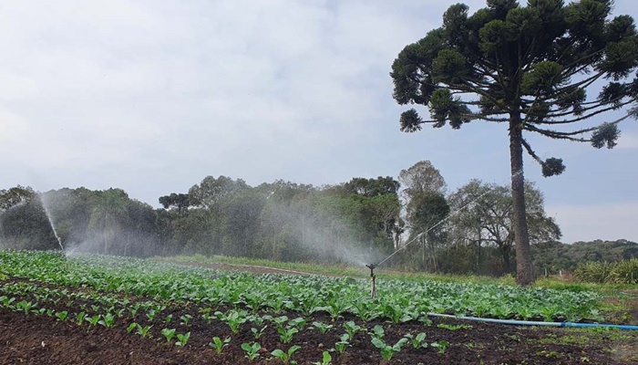  Prêmio Orgulho da Terra valoriza uso de tecnologias na agropecuária paranaense