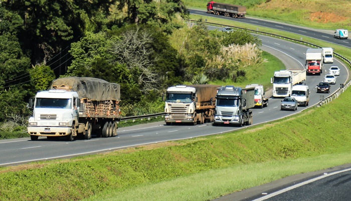  Nota Paraná: prazo de transferência dos créditos para pagar IPVA começa nesta quarta