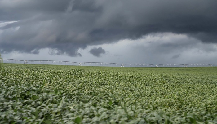  Estado e municípios levantam os efeitos da chuva nas lavouras e estradas rurais