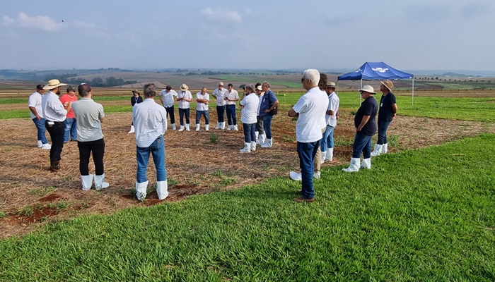  Produtores que adotam manejo integrado de pragas reduzem em 53% o uso de inseticidas