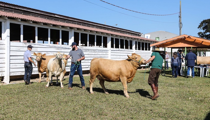  Veterinários que atuam na erradicação da brucelose devem se recadastrar neste mês