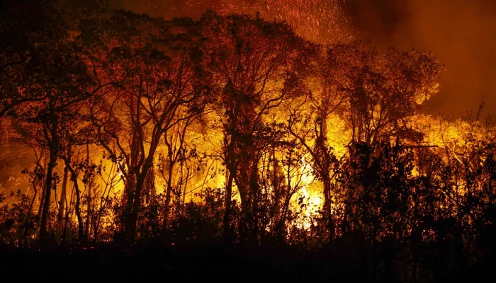 Pantanal tem mais de 3 mil incêndios em novembro; recorde histórico