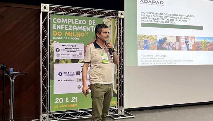  Estado orienta produtores sobre riscos do enfezamento do milho em evento em Toledo