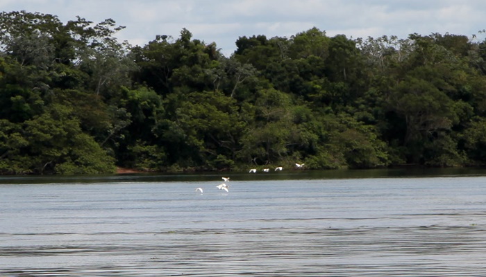  Na última reunião do ano, CBH do Paraná 3 elabora plano de atuação para 2024