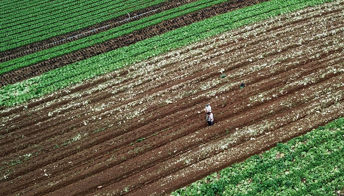  Prêmio Orgulho da Terra 2023 será entregue a 21 personalidades nesta quinta