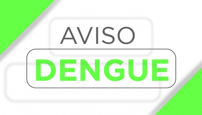  Informe da dengue registra 876 novos casos; circulação está confirmada em 216 municípios