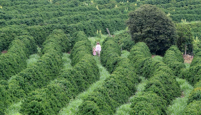  Banco do Agricultor Paranaense já financiou R$ 646 milhões em 4.180 projetos