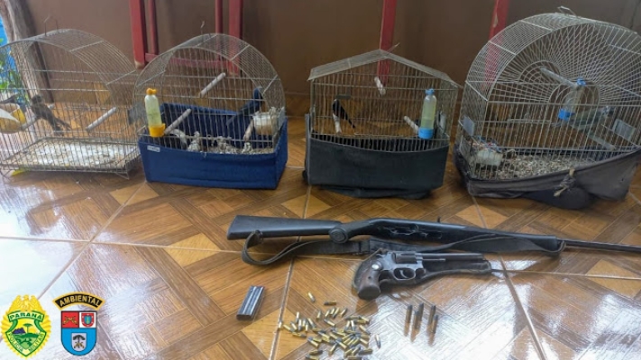 Palmital - Polícia Ambiental Localiza Pássaros Silvestres em Cativeiro, Armas e autua Homem em R$ 2 mil