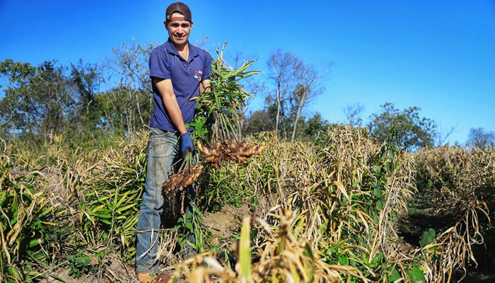  Governo seleciona 34 profissionais em programa de residência em economia rural