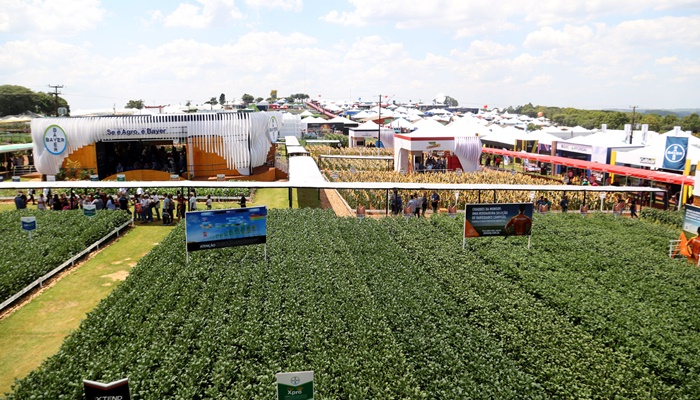  Para prevenir gripe aviária, Adapar renova proibição de aves em eventos agropecuários