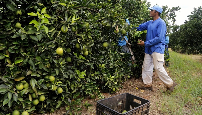  De olho em emprego novo? Agências do Trabalhador do Paraná têm 18,9 mil vagas 