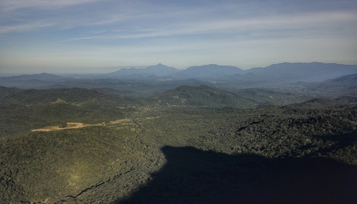  IAT indica redução de 71,5% na área de Mata Atlântica desmatada em 2023