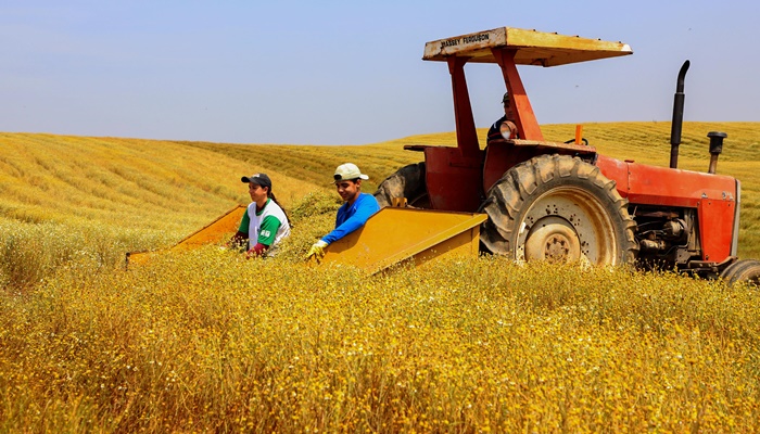  Paraná teve o maior crescimento da atividade econômica do Brasil em 2023