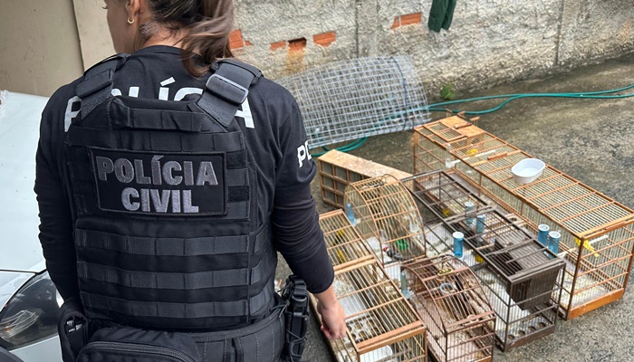  PCPR deflagra operação contra organização ligada ao tráfico de animais silvestres