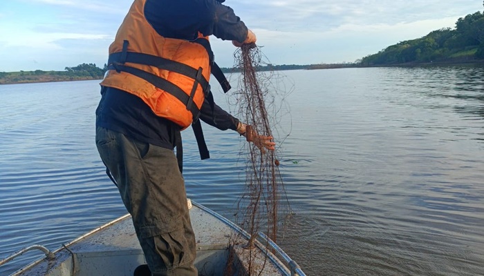  IAT conclui Piracema com R$ 265 mil em multas e 194,68 quilos de peixe apreendidos