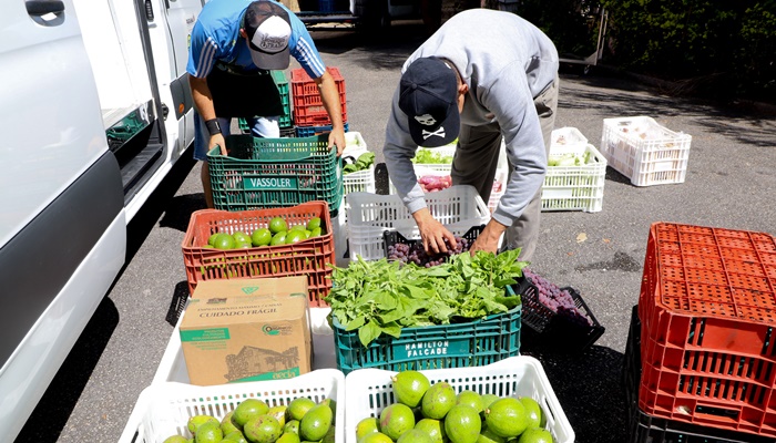  Programa Compra Direta Paraná inicia entregas de alimentos a mil entidades filantrópicas